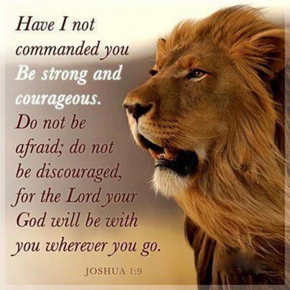 Meet your Posher, Harperandmagda